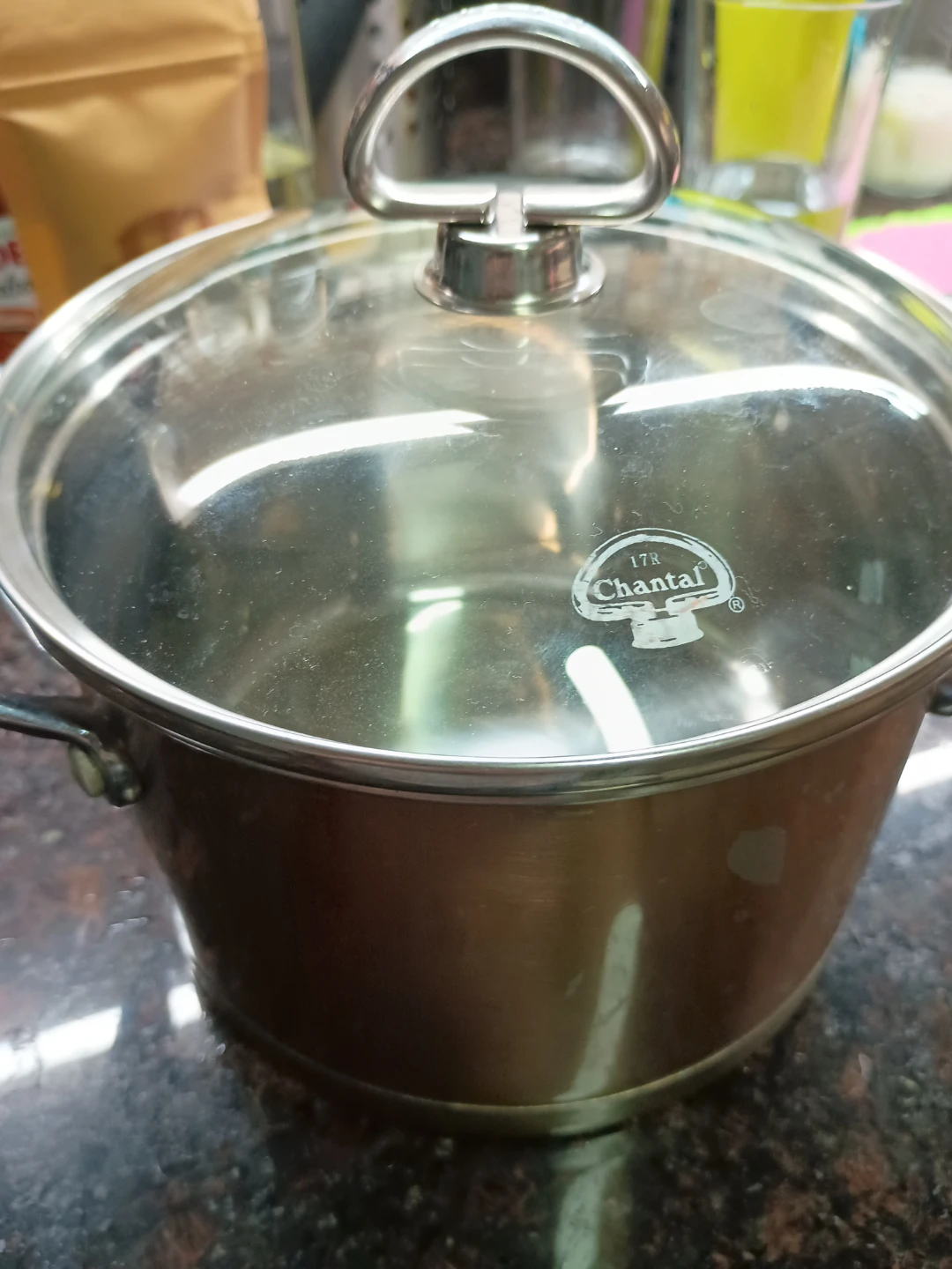 Chantal Stainless Steel Pot with Lid