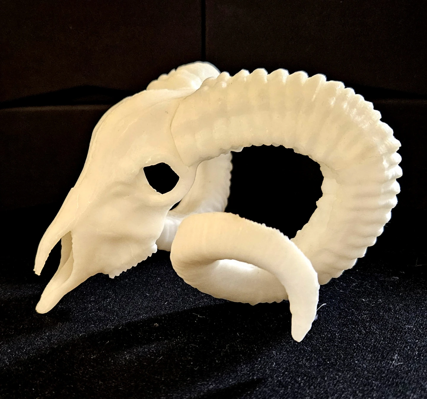 3x 3D Printed Dragon Skull + Ram Skull + Seahorse - photo 4
