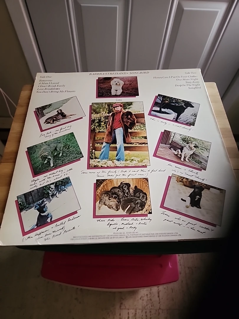 Barbra Streisand Songbird Vinyl Record - photo 2