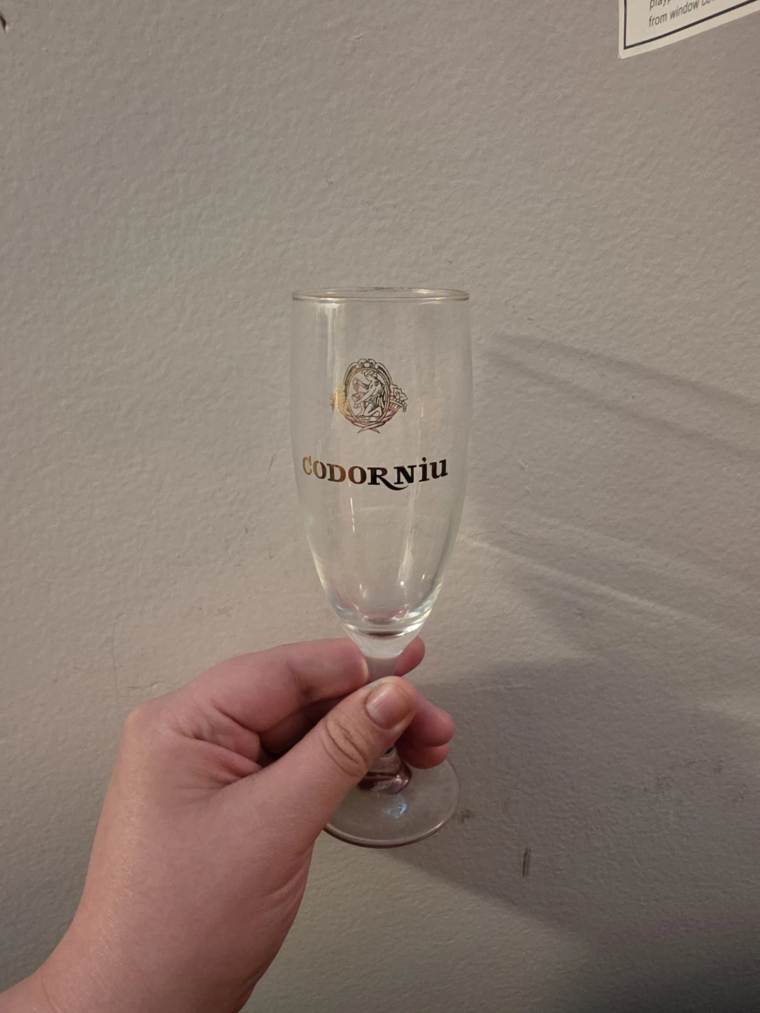 Codorniu Champagne Flutes