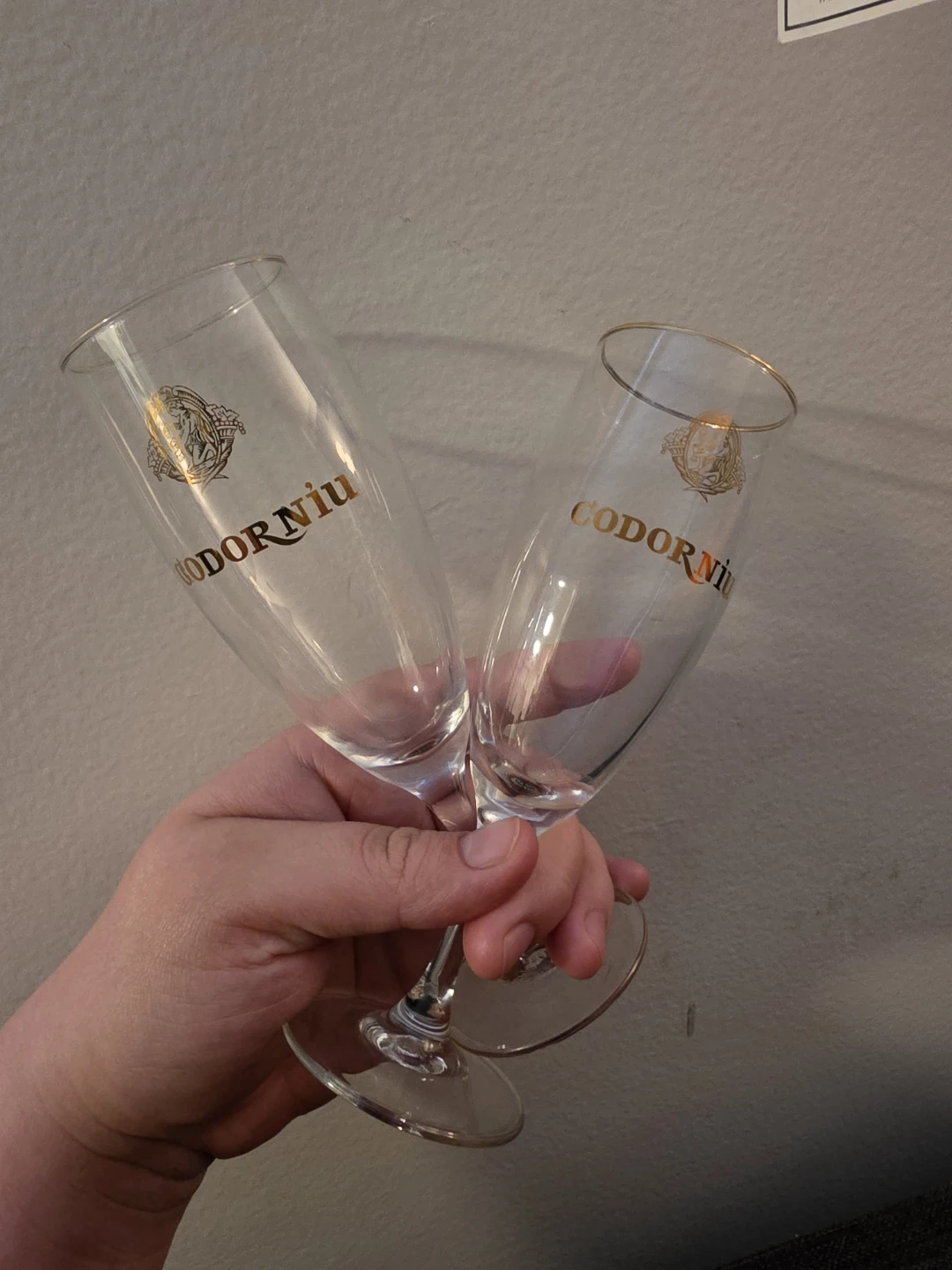 Codorniu Champagne Flutes - photo 3