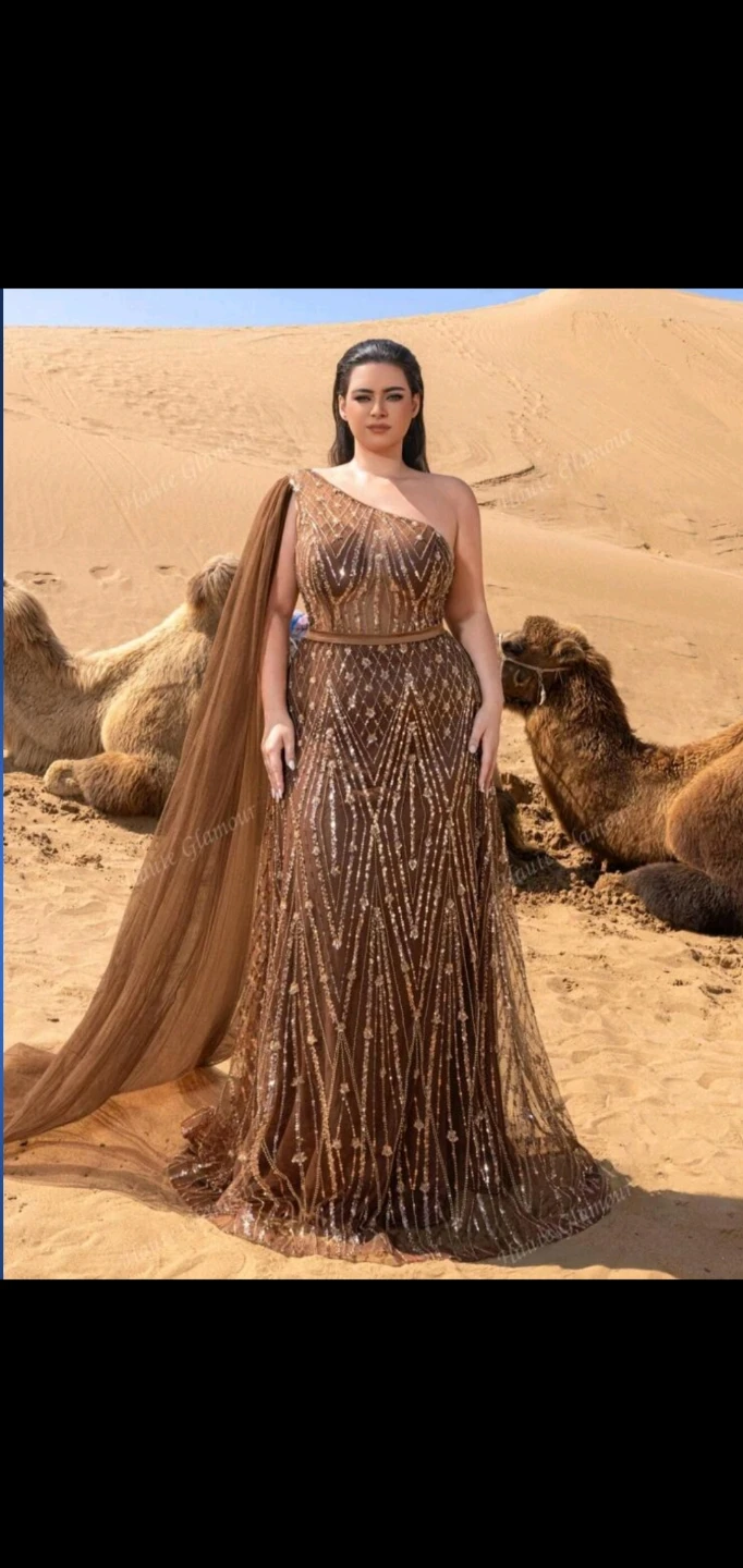 Sparkly Brown One-Shoulder Evening Gown with Cape