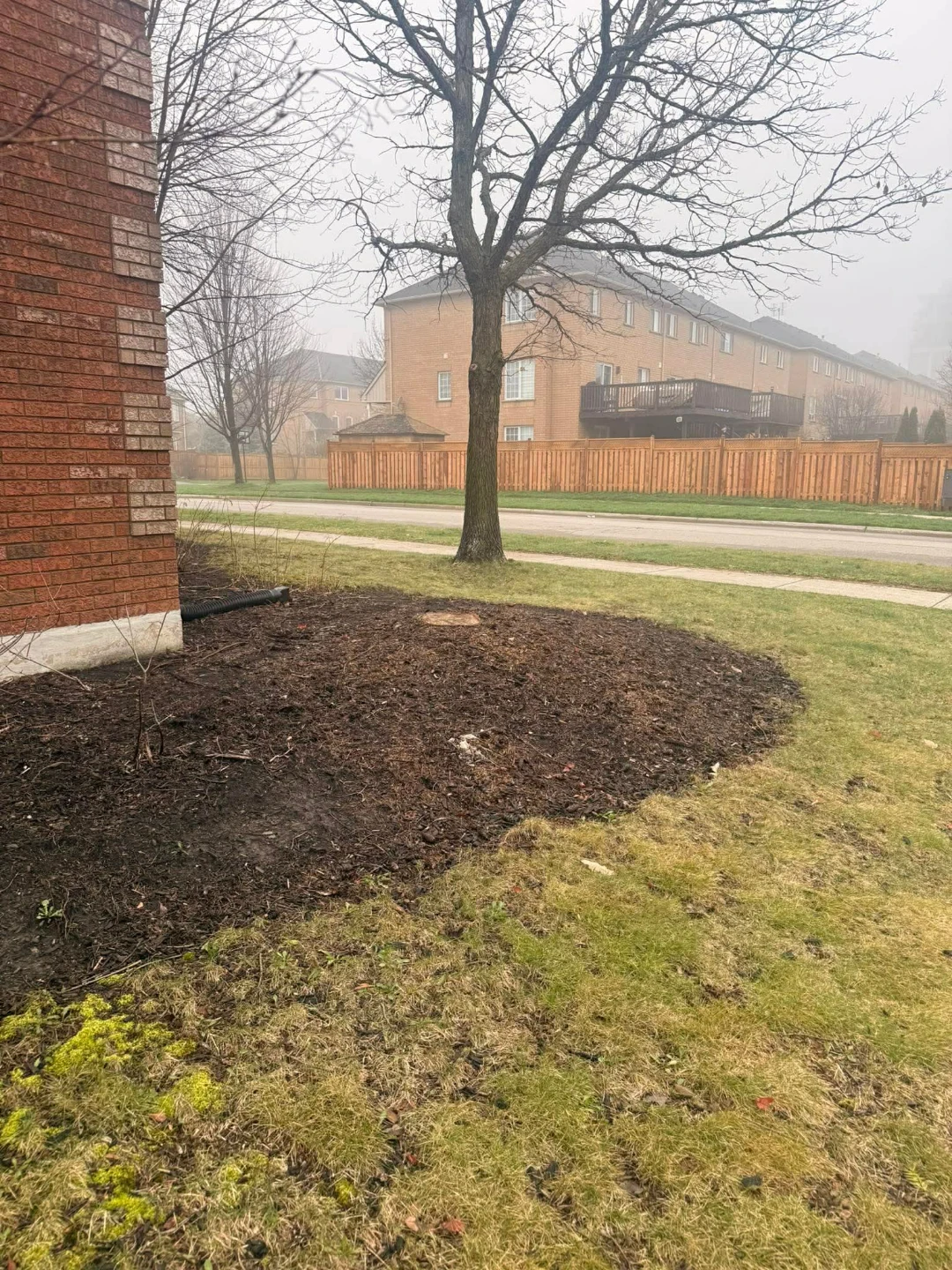 Professional Stump Grinding, Removal. - photo 4