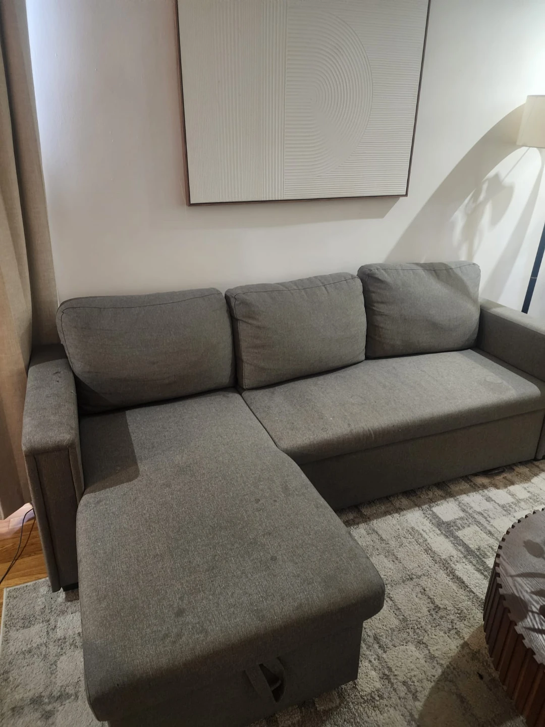 Pull-Out Bed Couch