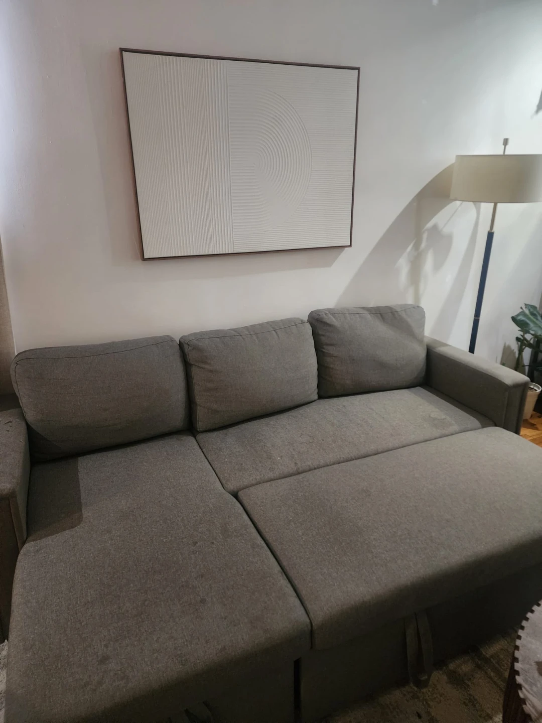 Pull-Out Bed Couch - photo 3
