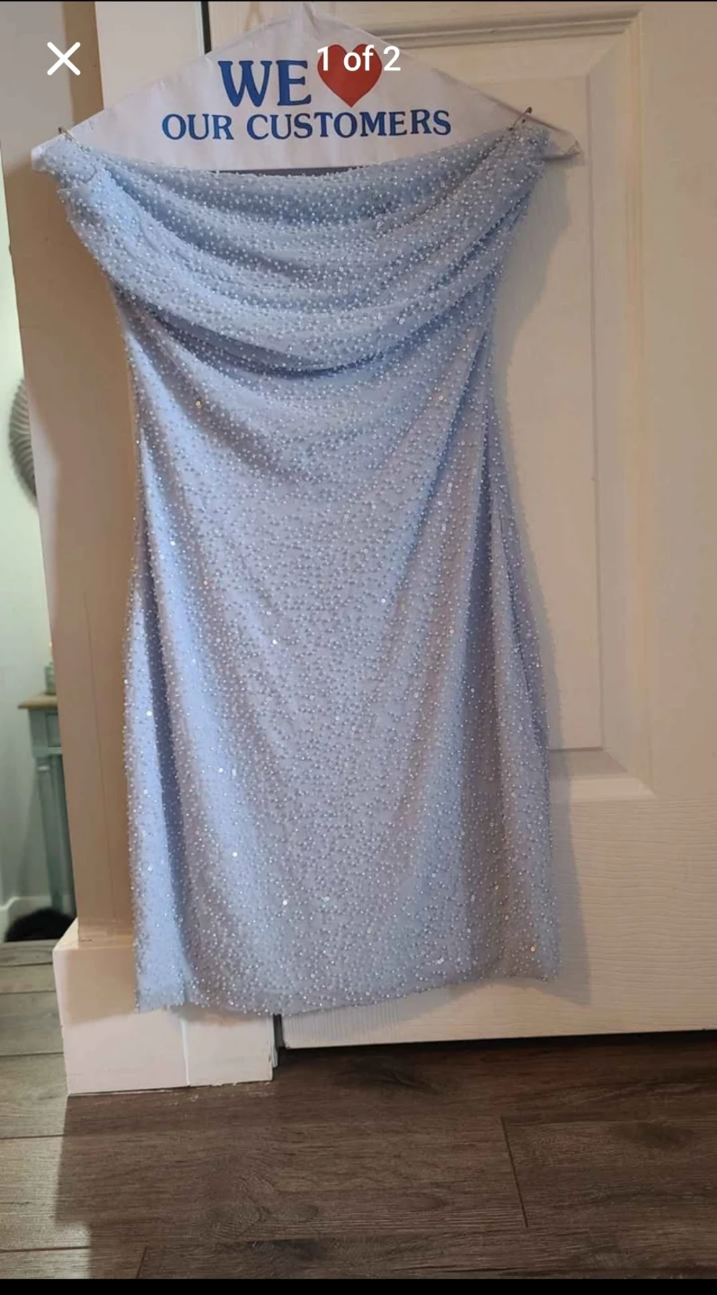 Windsor Light Blue Beaded Strapless Dress