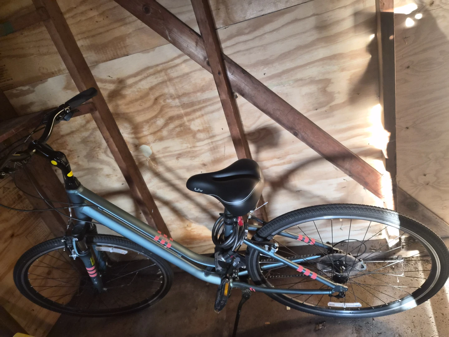 Liv Alight 2 Women's Hybrid Bike - Must be picked up this week