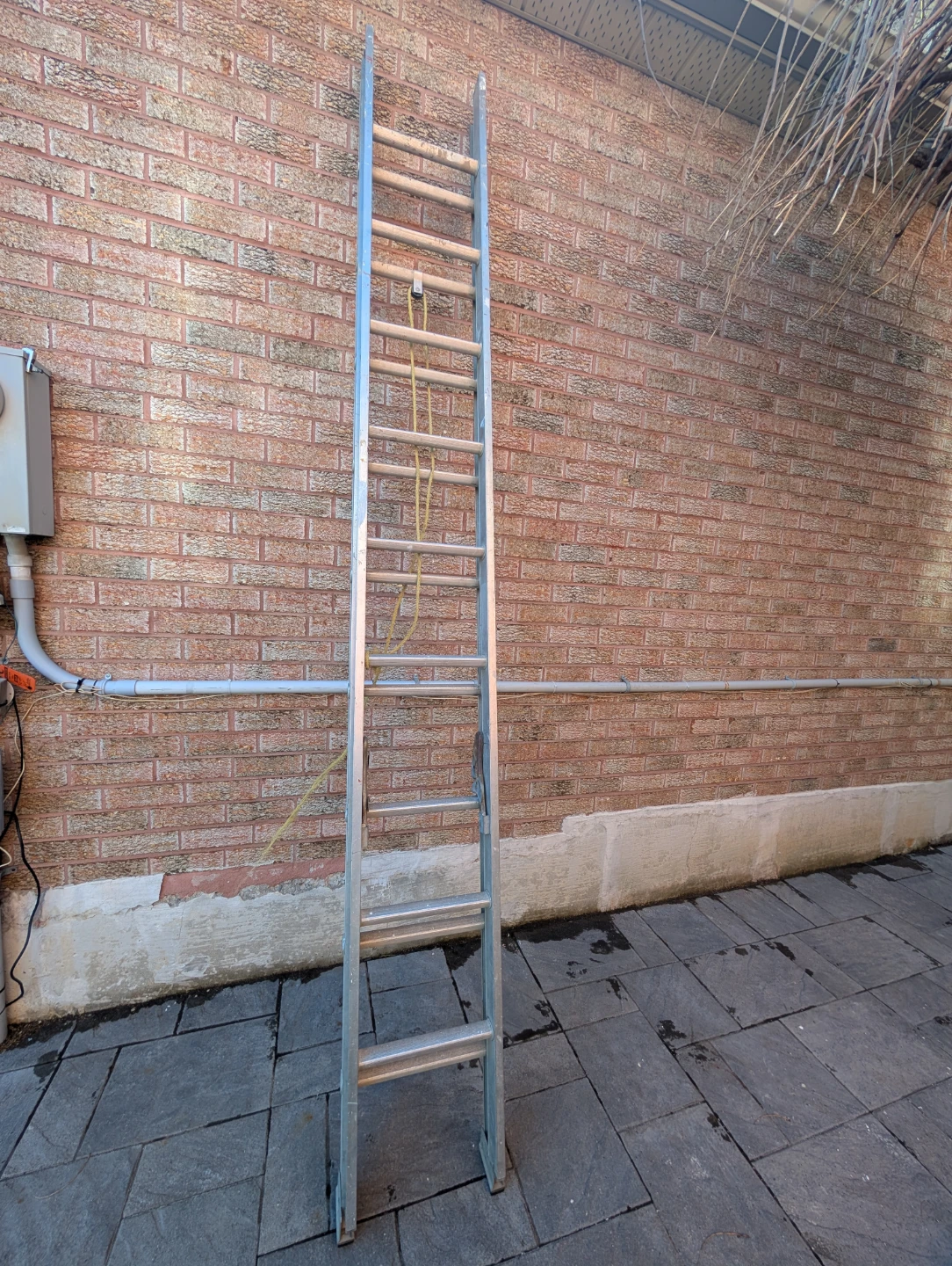 Aluminum Extension Ladder 20 foot