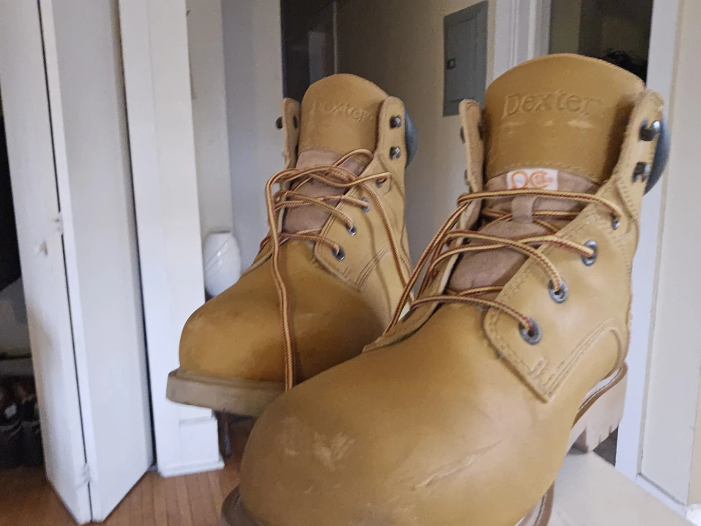 Dexter Work Boots - Size 11 - photo 2