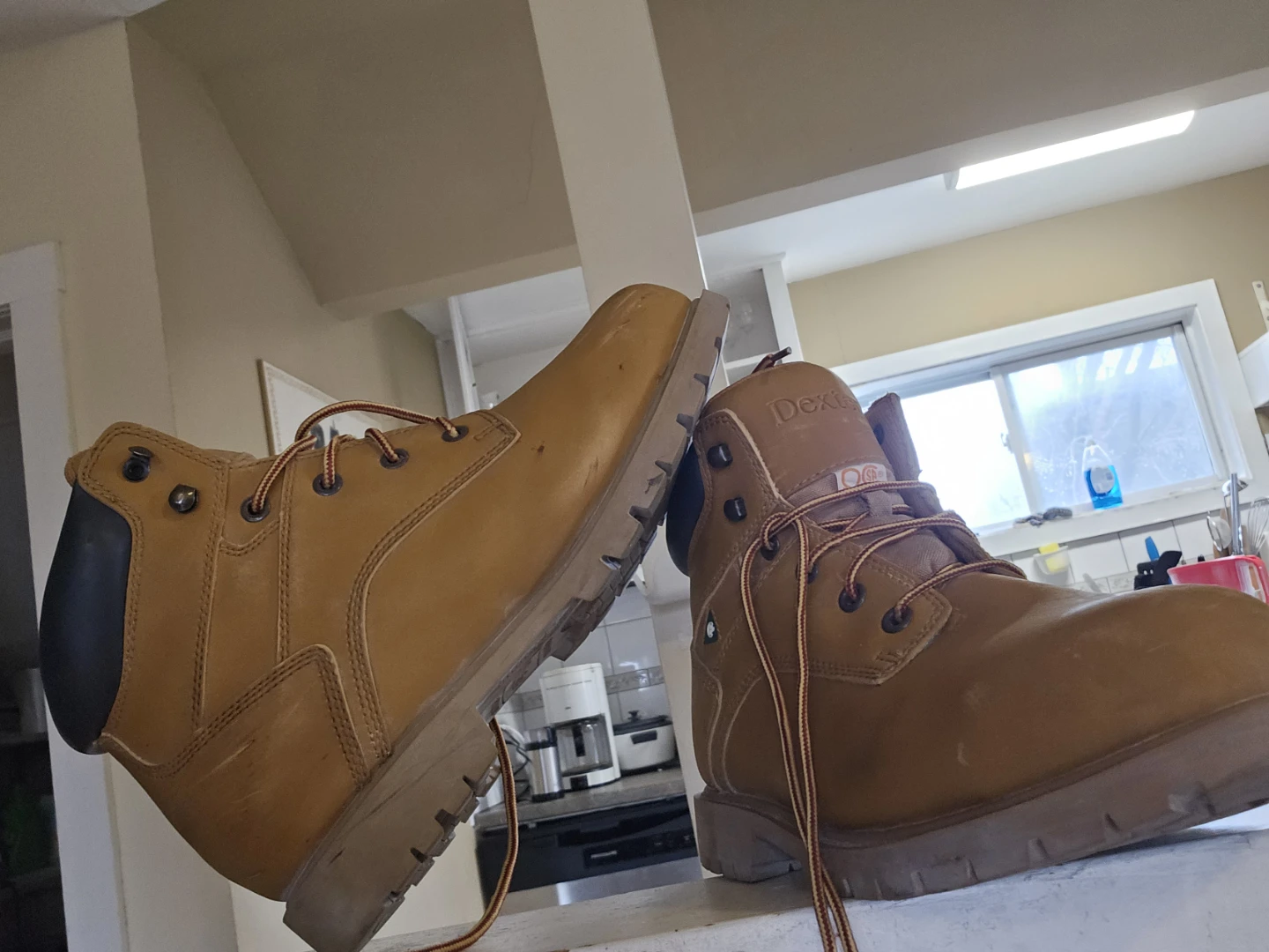 Dexter Work Boots - Size 11 - photo 4