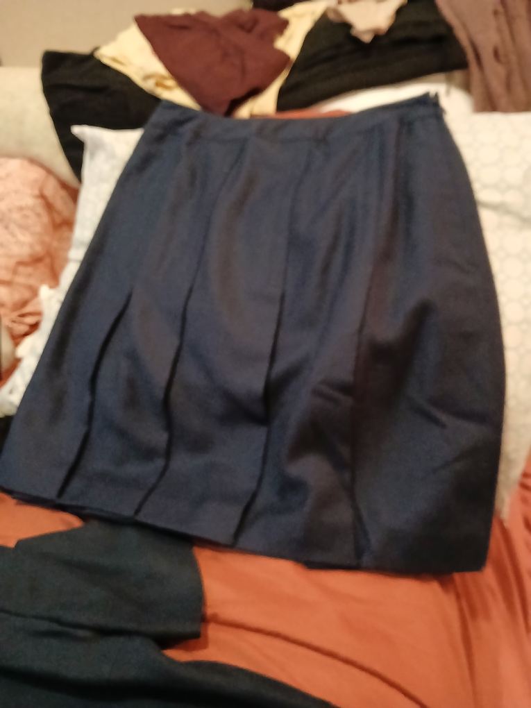 Navy Blue Pleated Skirt - photo 2