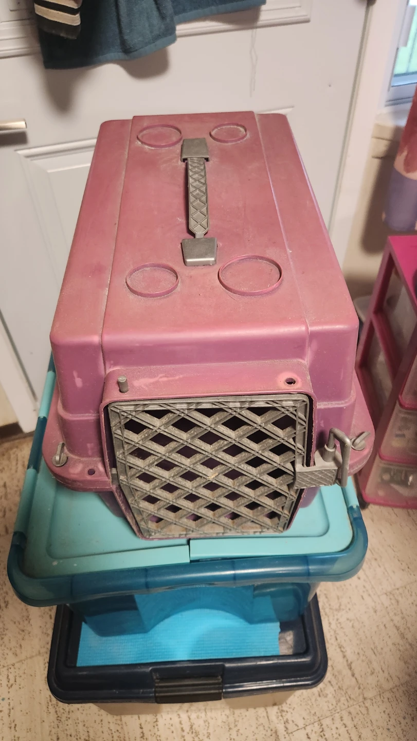 Purple Pet Carrier Crate