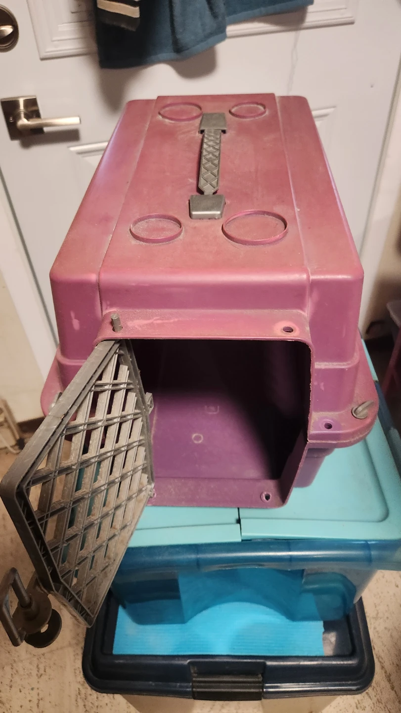 Purple Pet Carrier Crate - photo 2