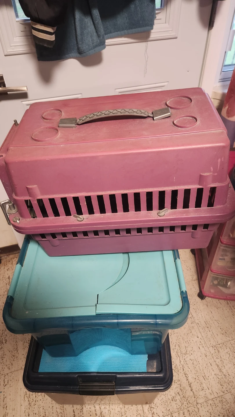 Purple Pet Carrier Crate - photo 3