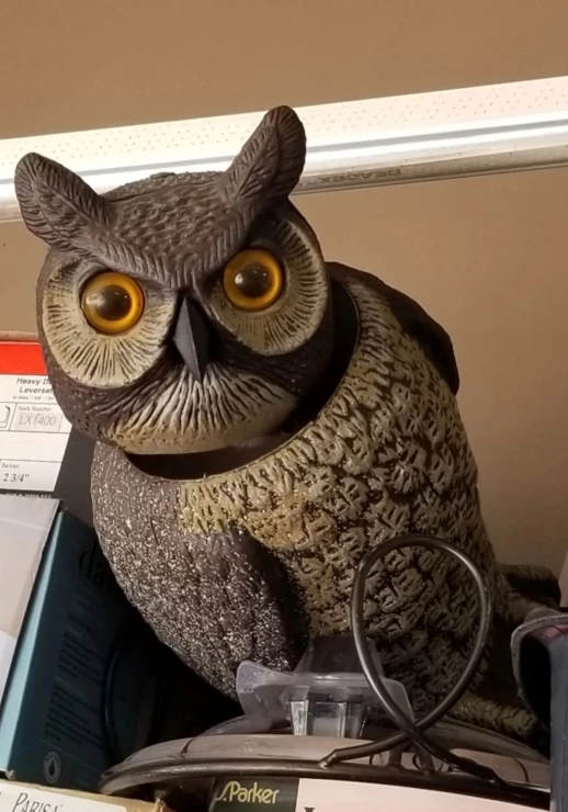 GARDEN/LAWN ITEMS - HAND HELD SPREADER/FERTILIZER & GARDEN OWL!!
