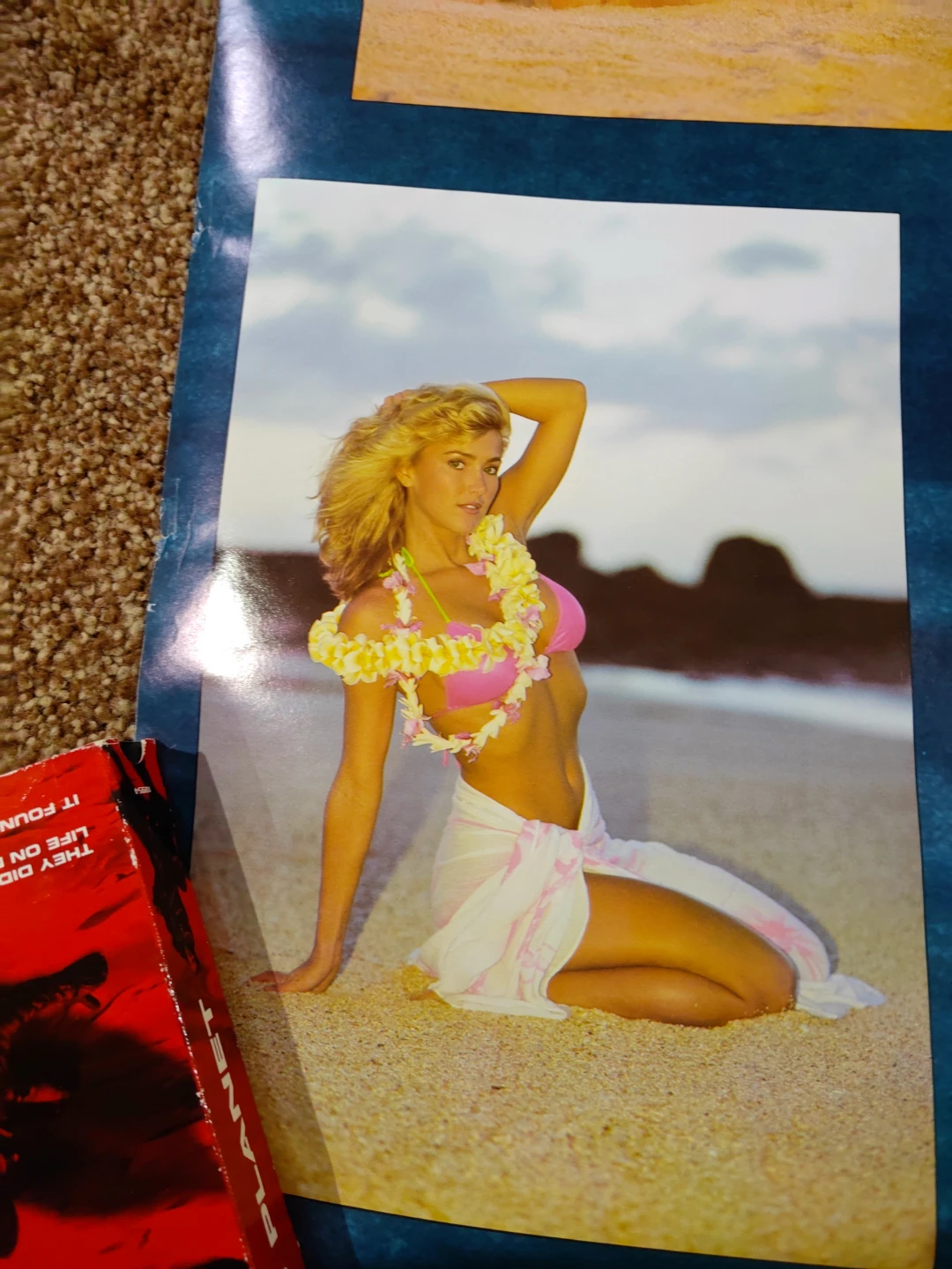 Vintage 1989 Island Girls Bikini Poster's x10 - photo 3