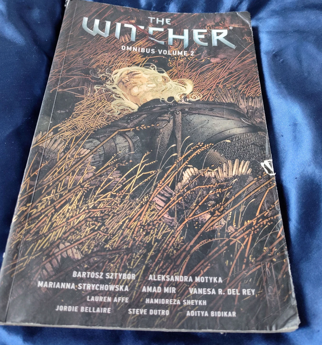 The Witcher Omnibus Volume 2 Graphic Novel 🌱