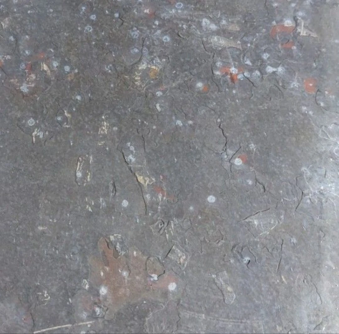 New  large natural slate tiles. 122 square feet - photo 2