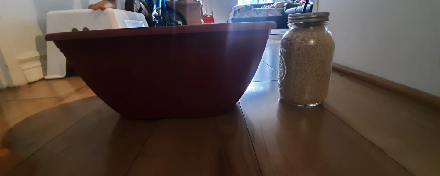 Pots for plants
