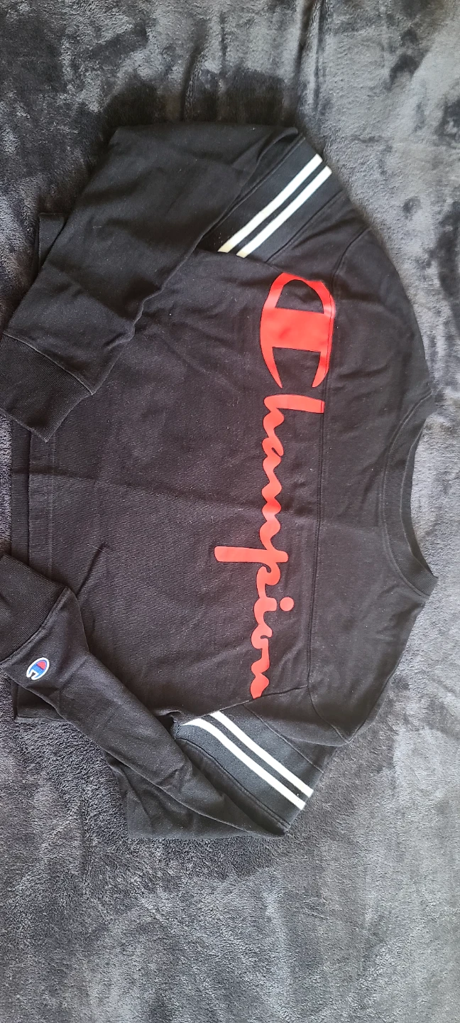Champion Crop Sweatshirt - photo 3