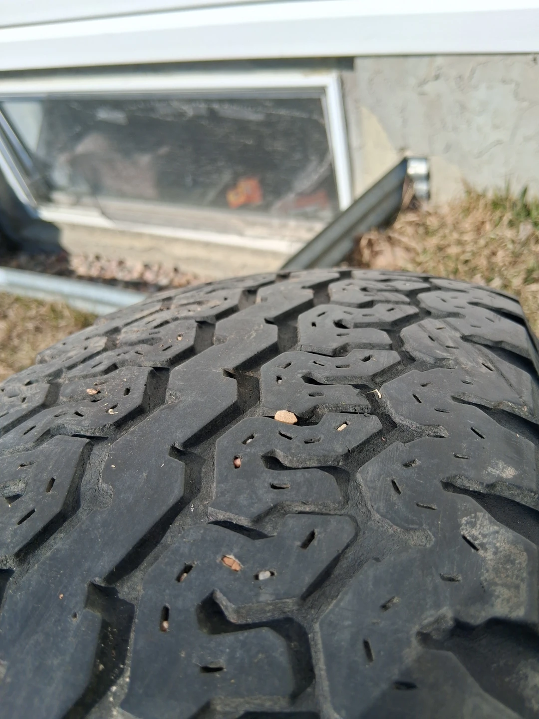Daytona Radial RLT Tire 8.75R16.5LT - photo 3