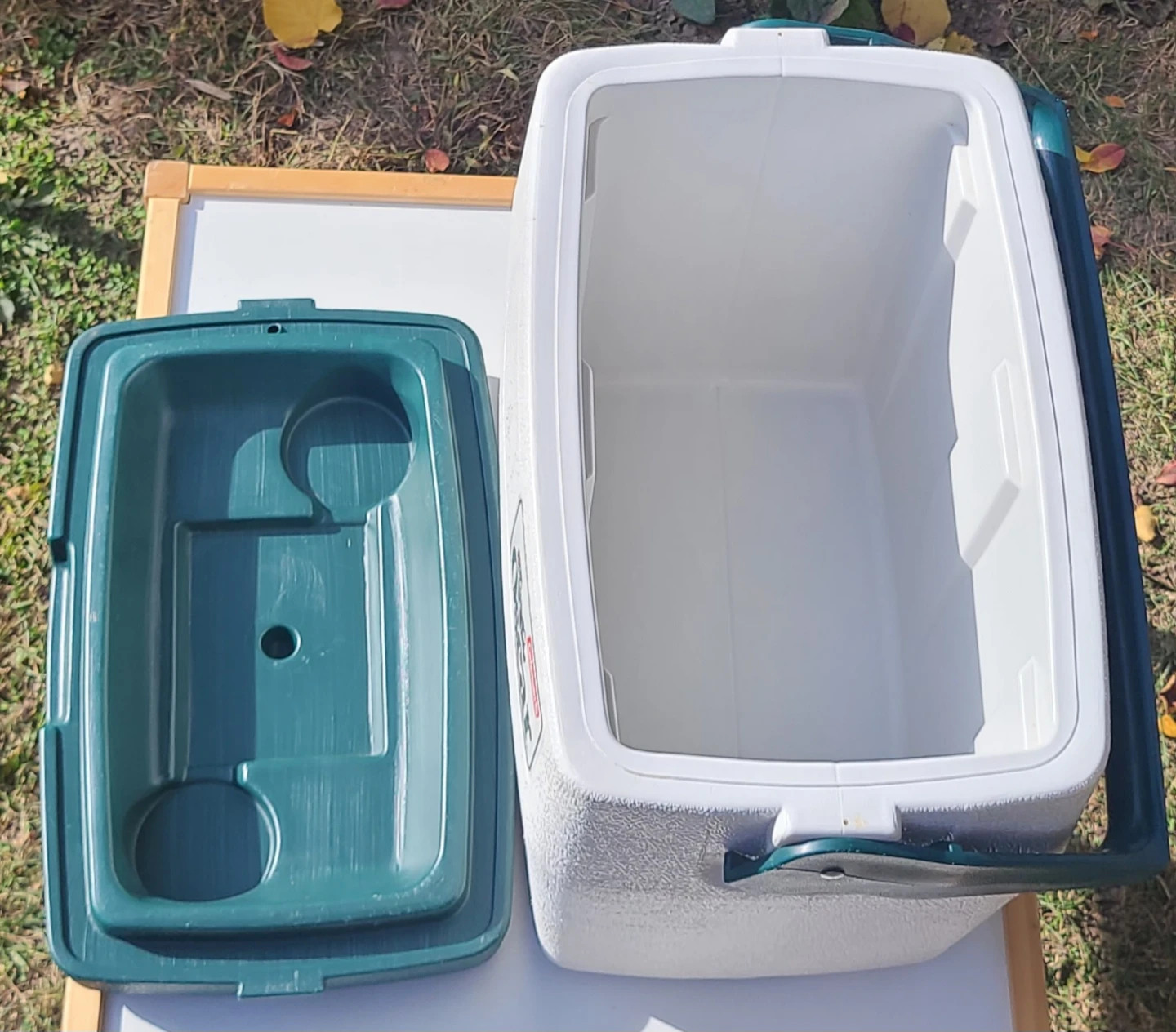 Coleman Oscar 16qt Cooler - Spotless Like New! - photo 3