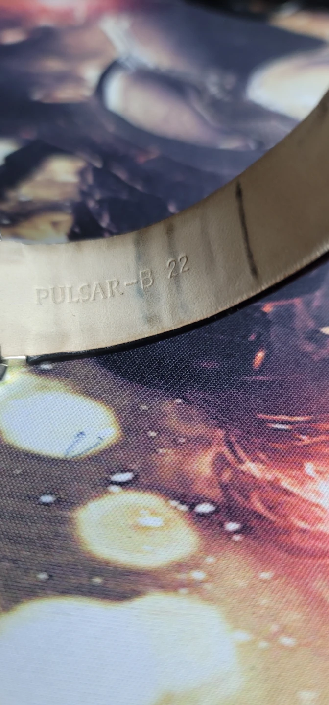 Pulsar 100M Multi Dial - photo 4
