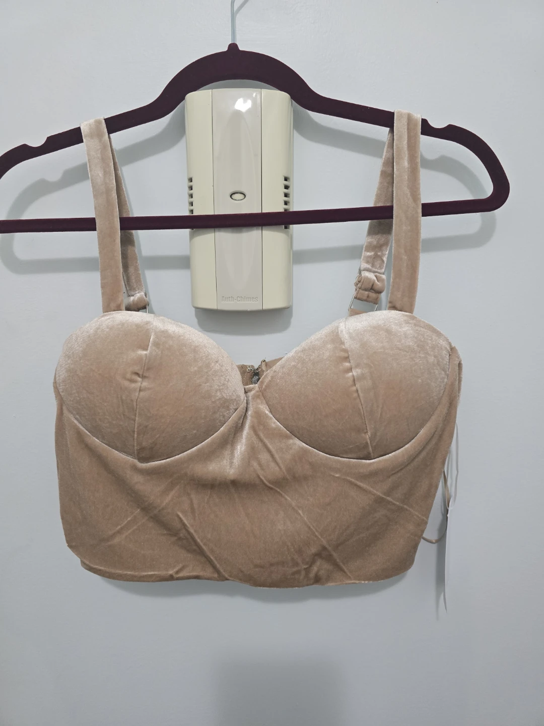 Tan Velvet Bustier Top -