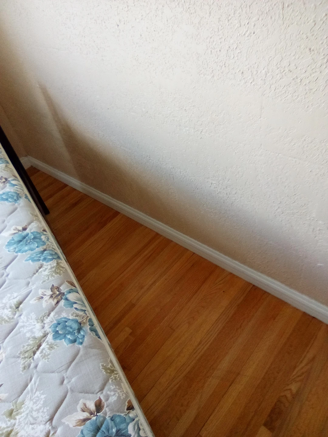 Twin Mattress and Box Spring - photo 2