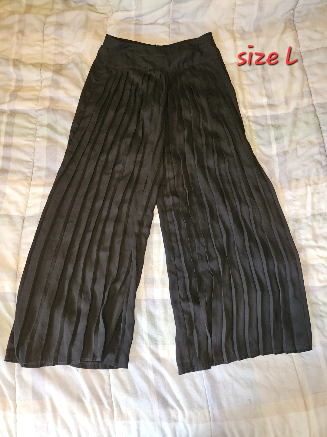 Dress pants size large