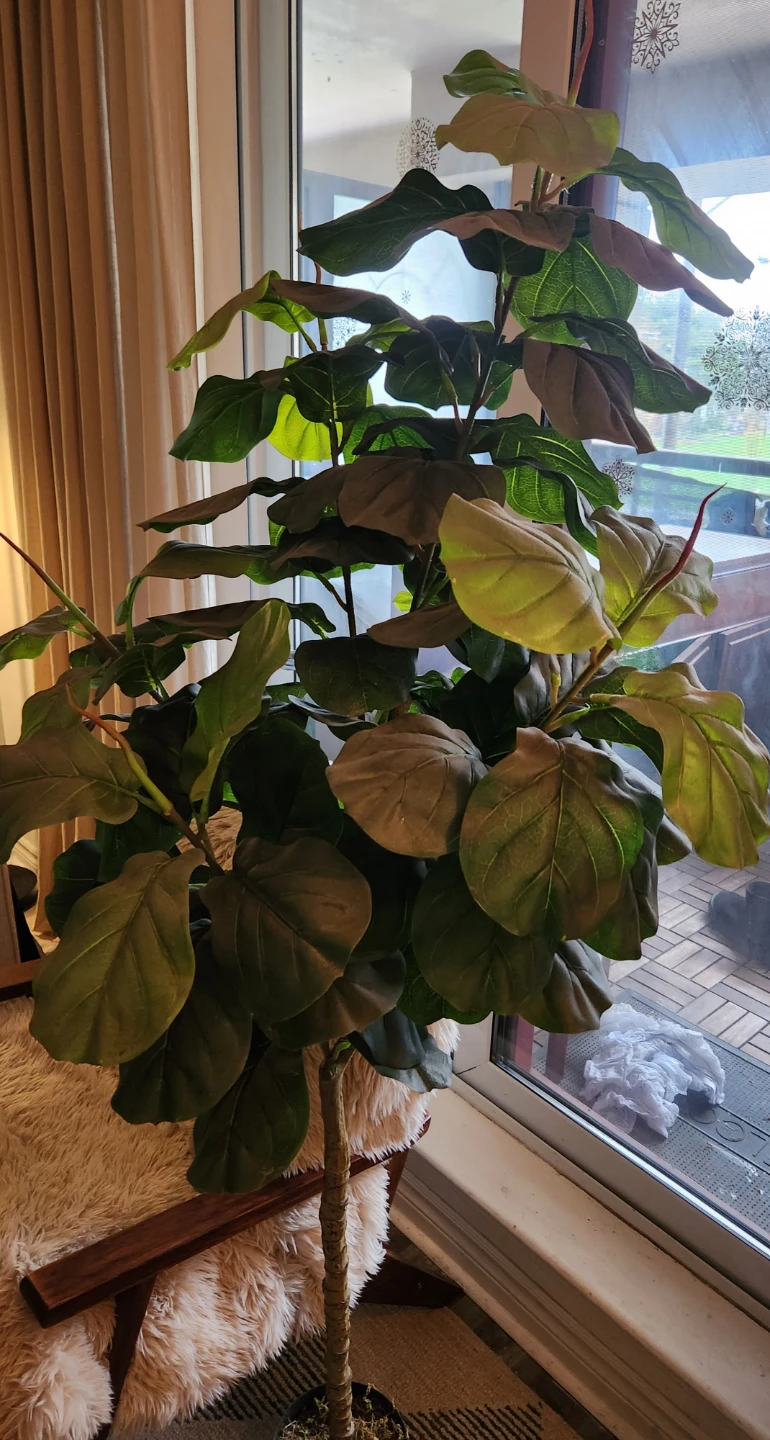 Artificial Fiddle Leaf Fig Tree - photo 3