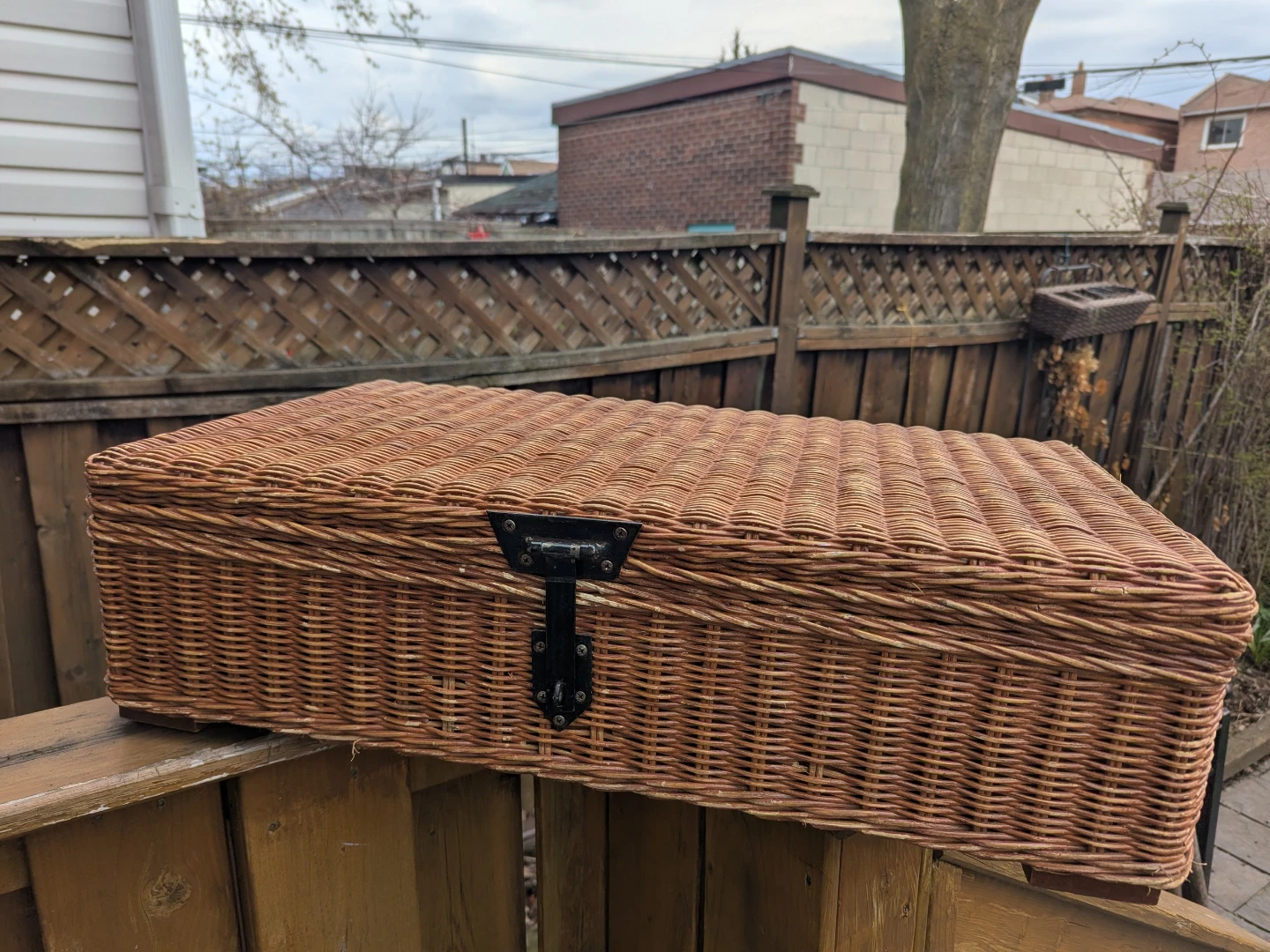 Wicker Storage Trunk