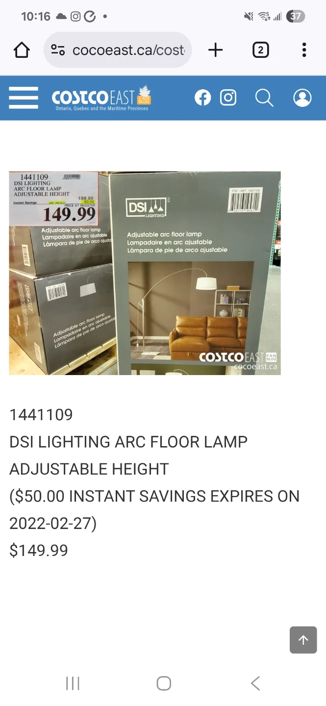 DSI Lighting Adjustable Arc Floor Lamp