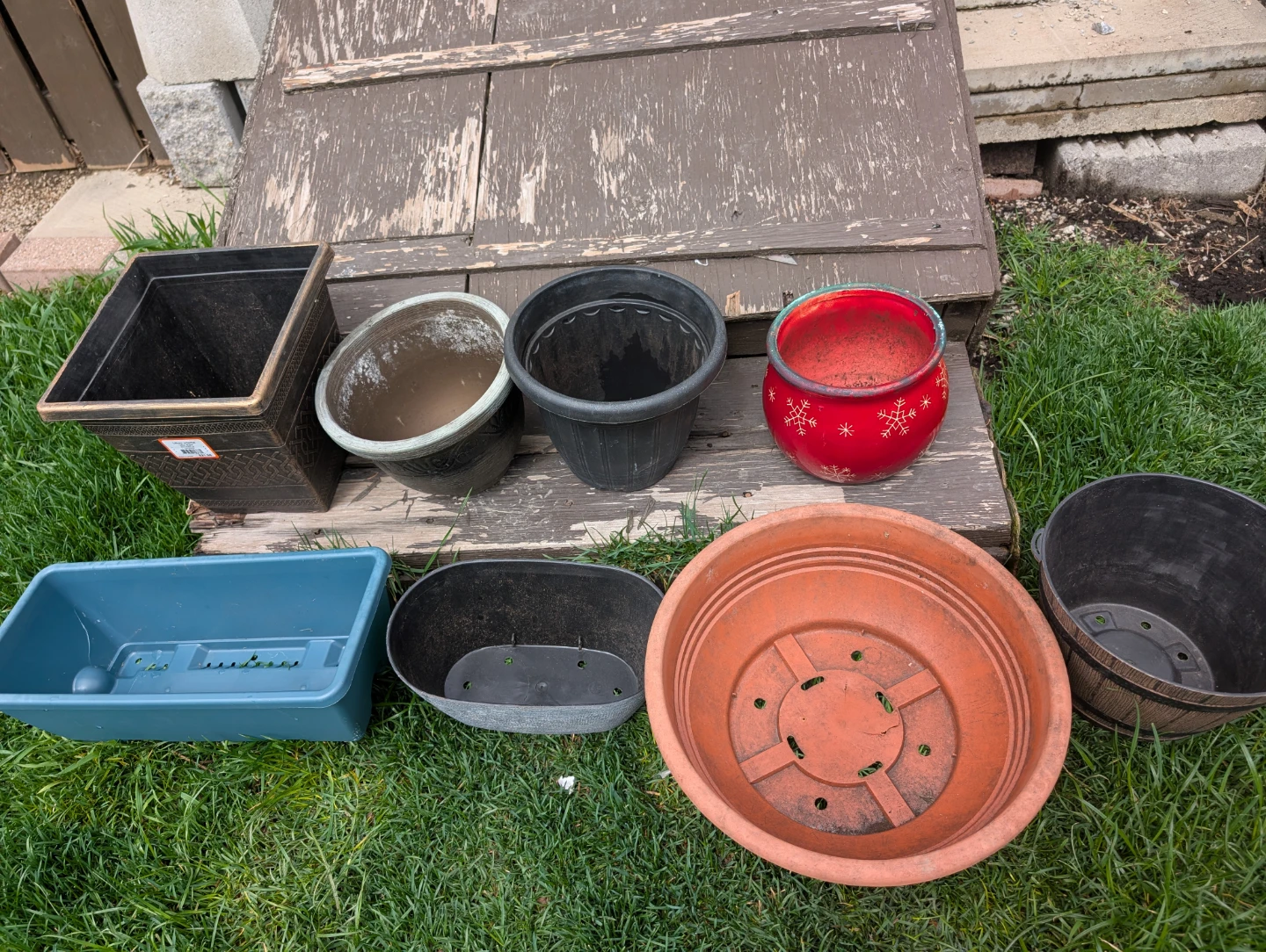 Plant pots (all $8) - photo 2