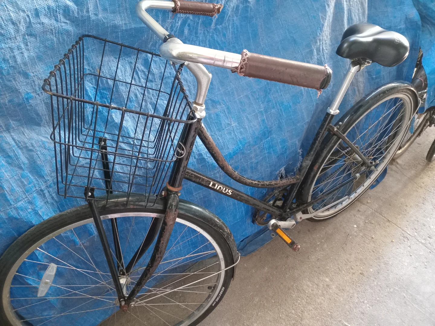 Linus City Cruiser Bike with Basket