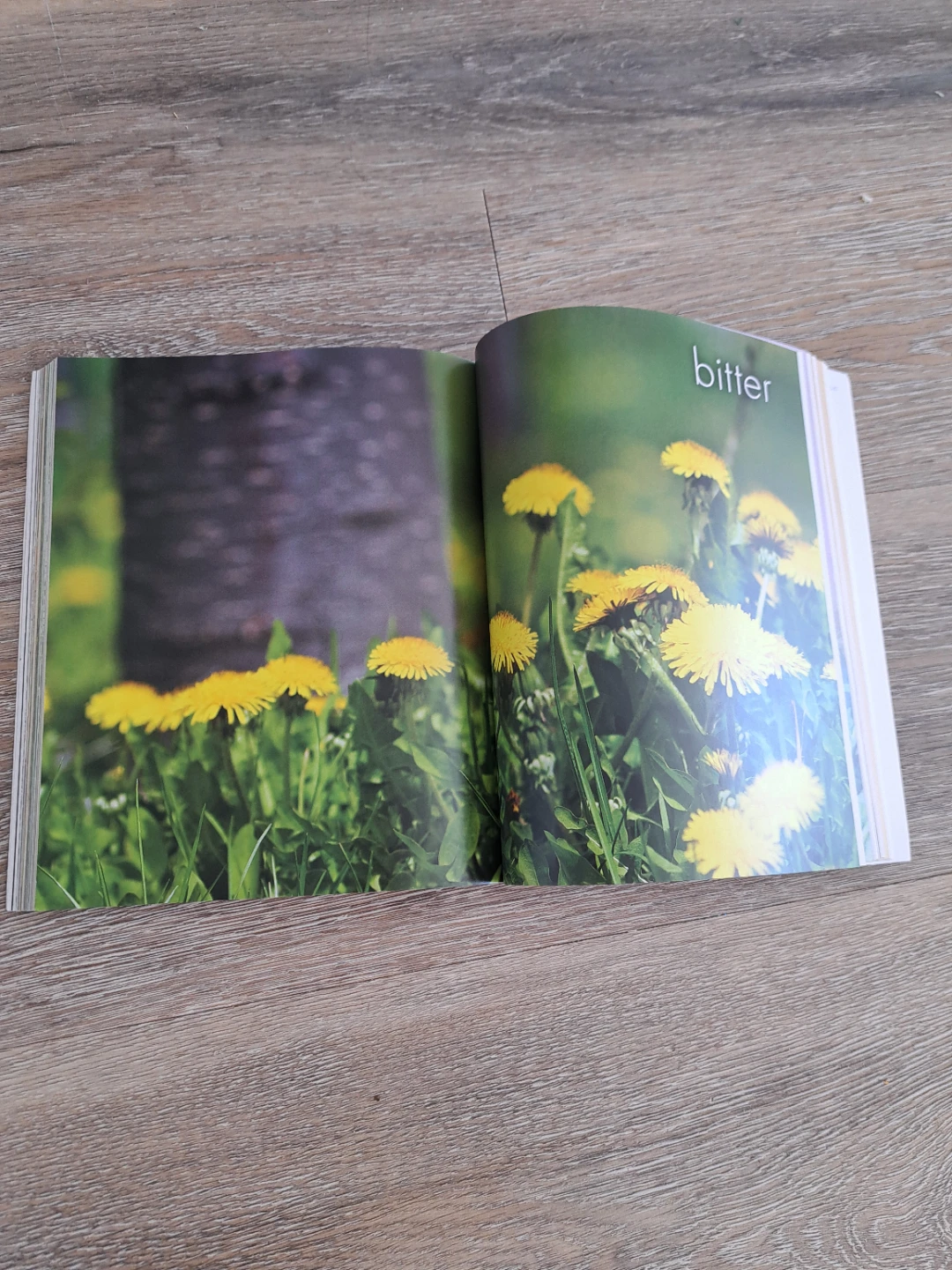 Alchemy of Herbs Cookbook by Rosalee de la Forêt - photo 4