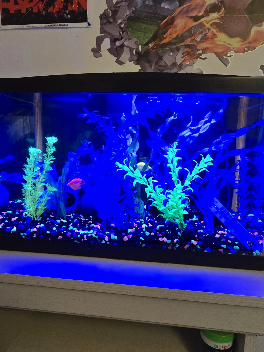 GloFish Aquarium Kit with LED Lighting