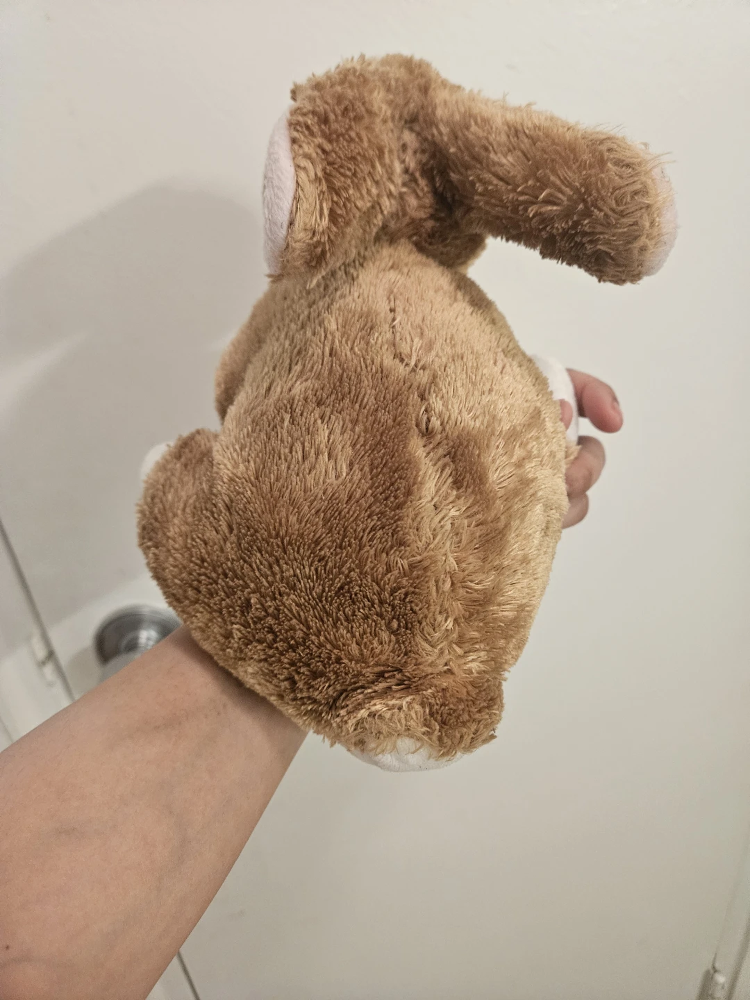 Plush Bunny Stuffed Animal - photo 5