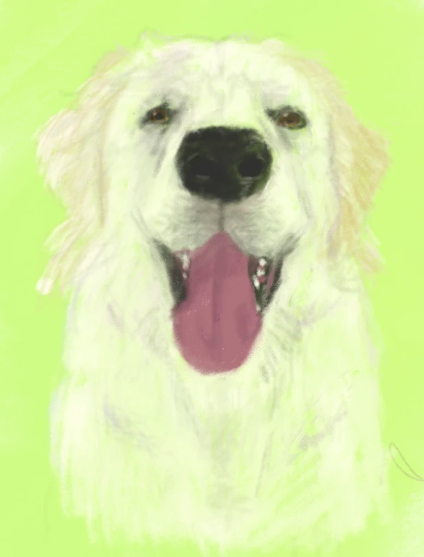​Pet drawing: Open to Trades!