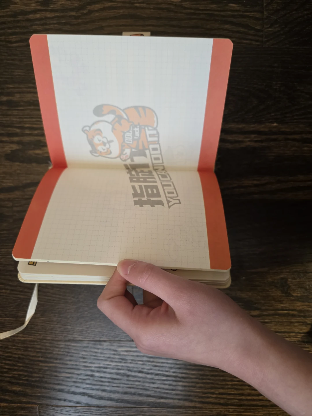 Duck Notebook - photo 4