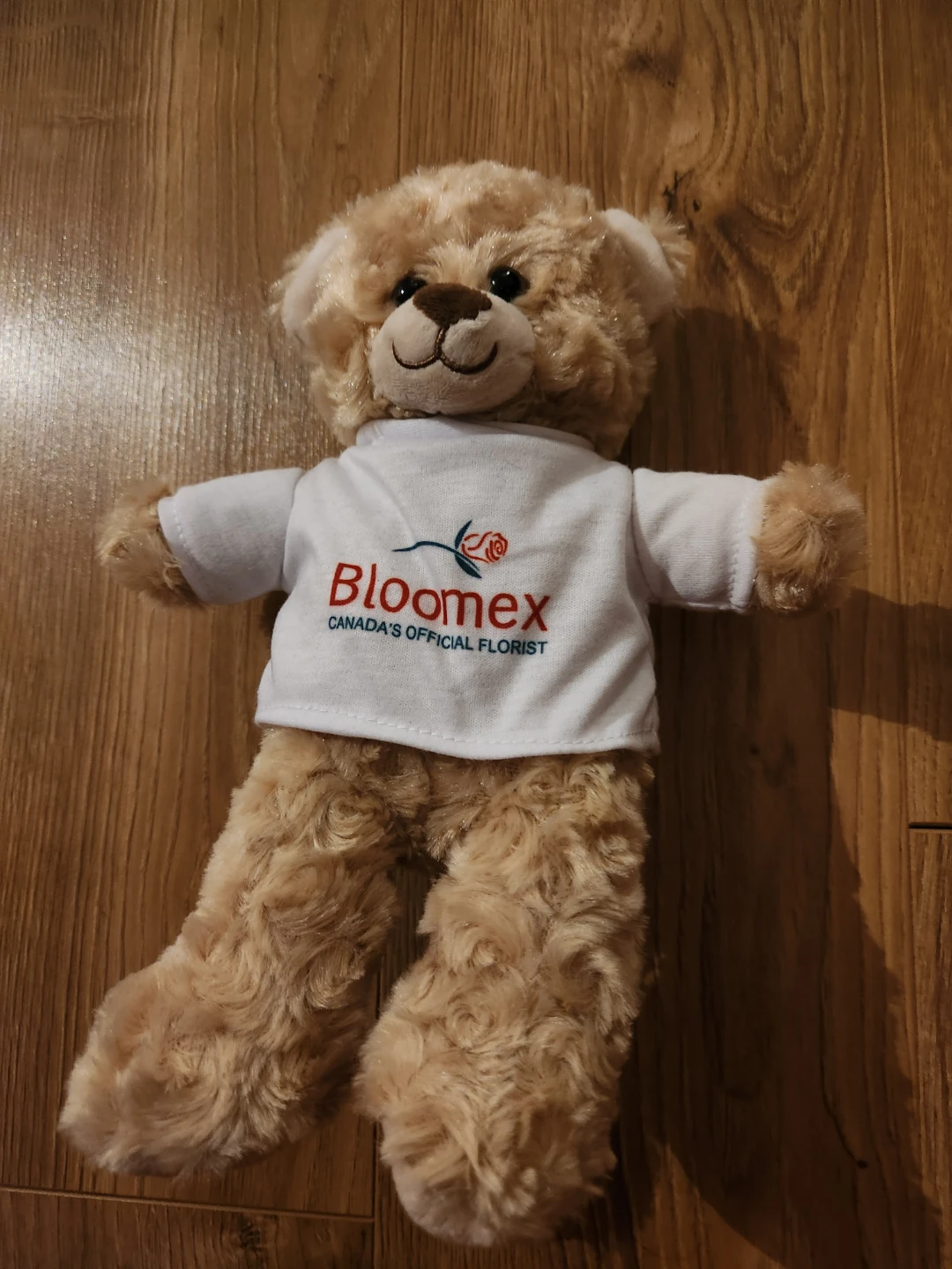 Bloomex "Canada's Official Florist" Teddy Bear Plush Toy