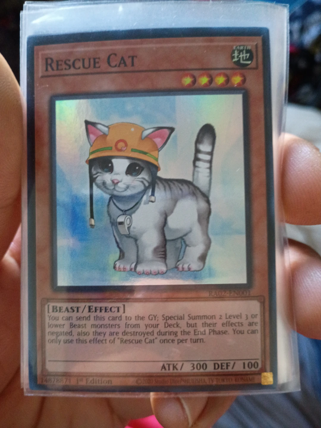 Yu-Gi-Oh! Rescue Cat Trading Card