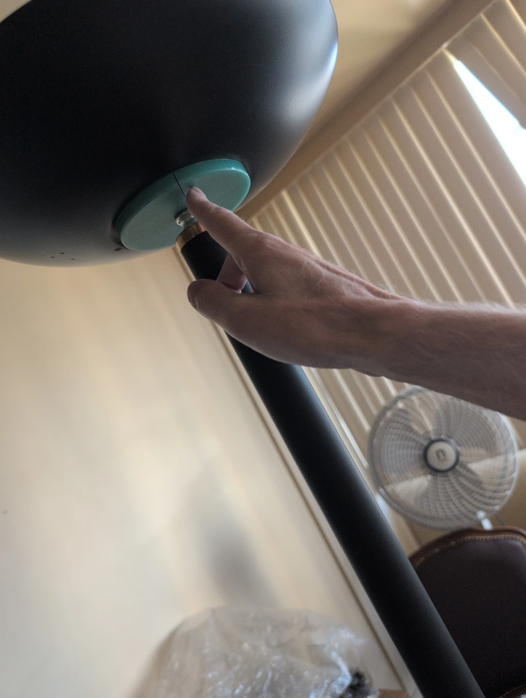 Black Floor Lamp with Teal Accent - photo 3