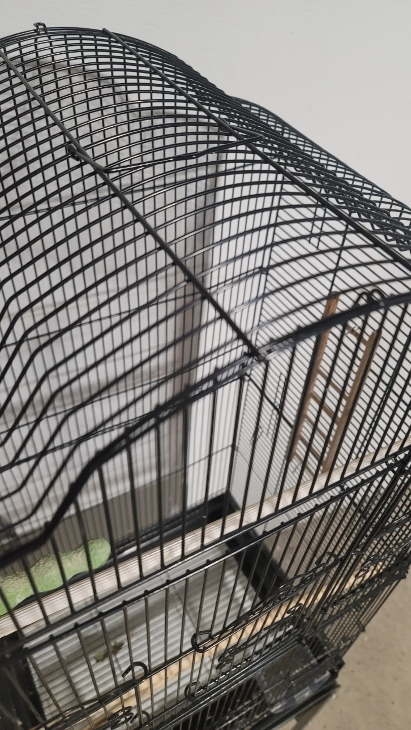 Black Bird Cage with Stand and Accessories - photo 2