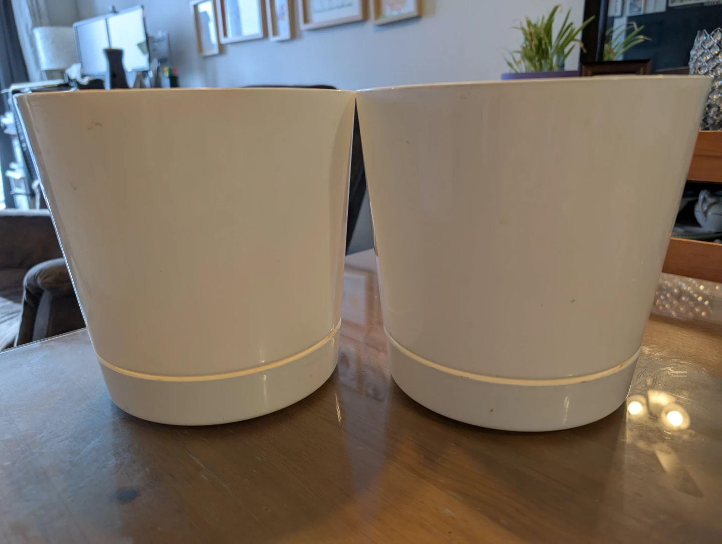 Root & Vessel 8-Inch White Novelty Mfg Plant Pot (Set of 2)