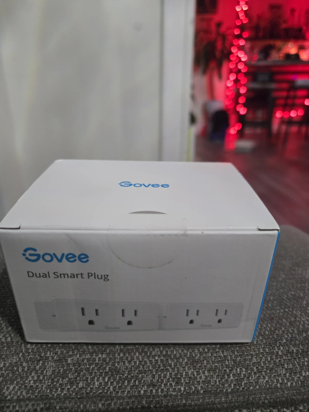 Govee Dual Smart Plug