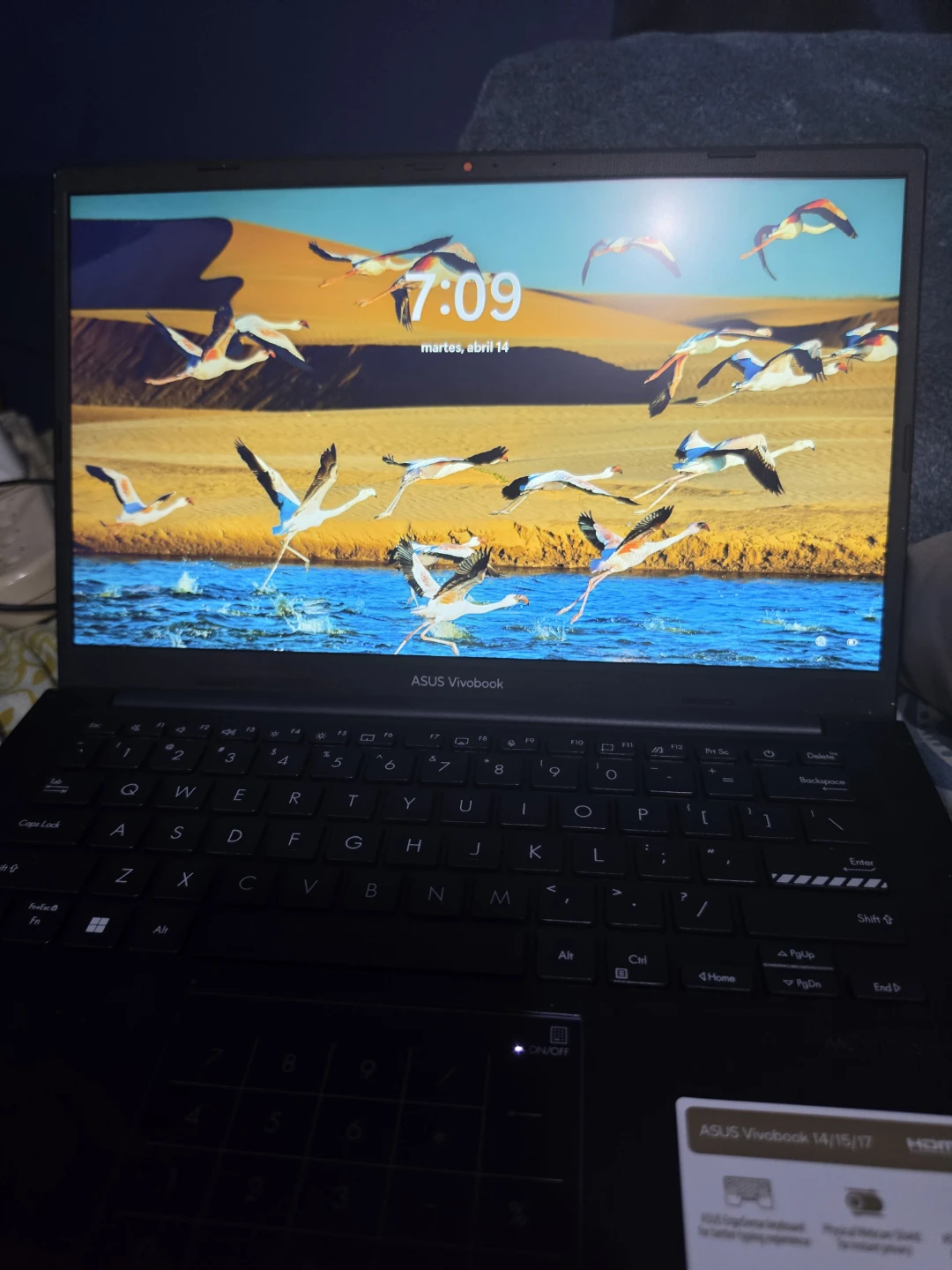 ASUS VivoBook Laptop - photo 2