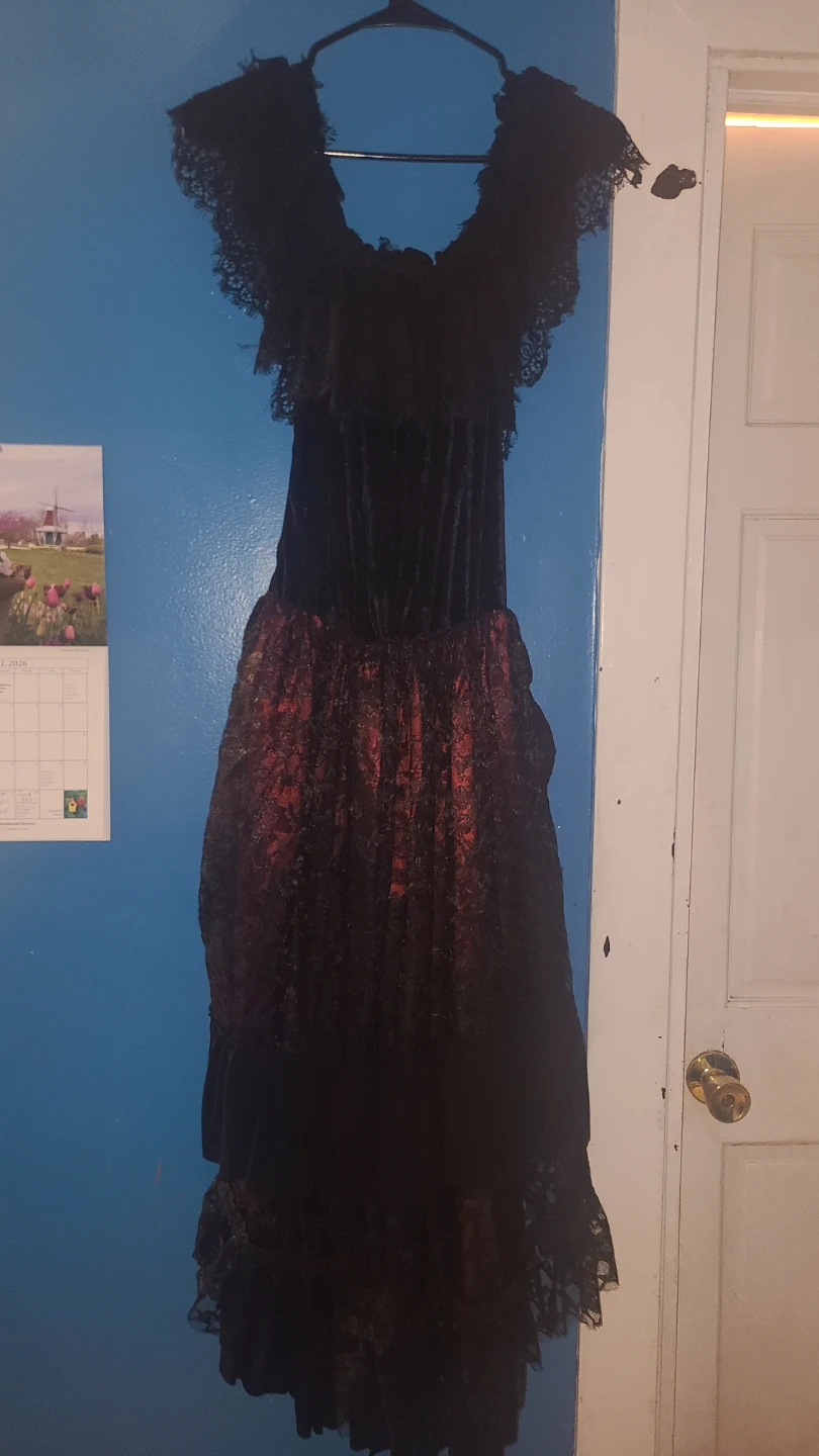 Spirit Halloween Victorian Vampire Costume - photo 2