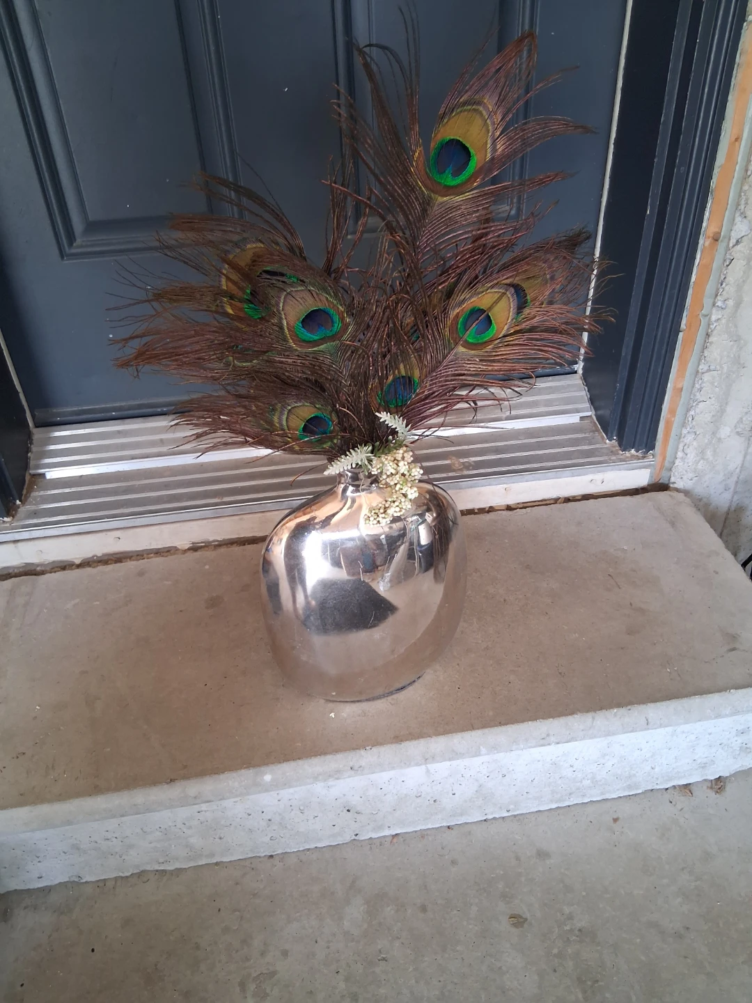 Silver Vase with Peacock Feathers