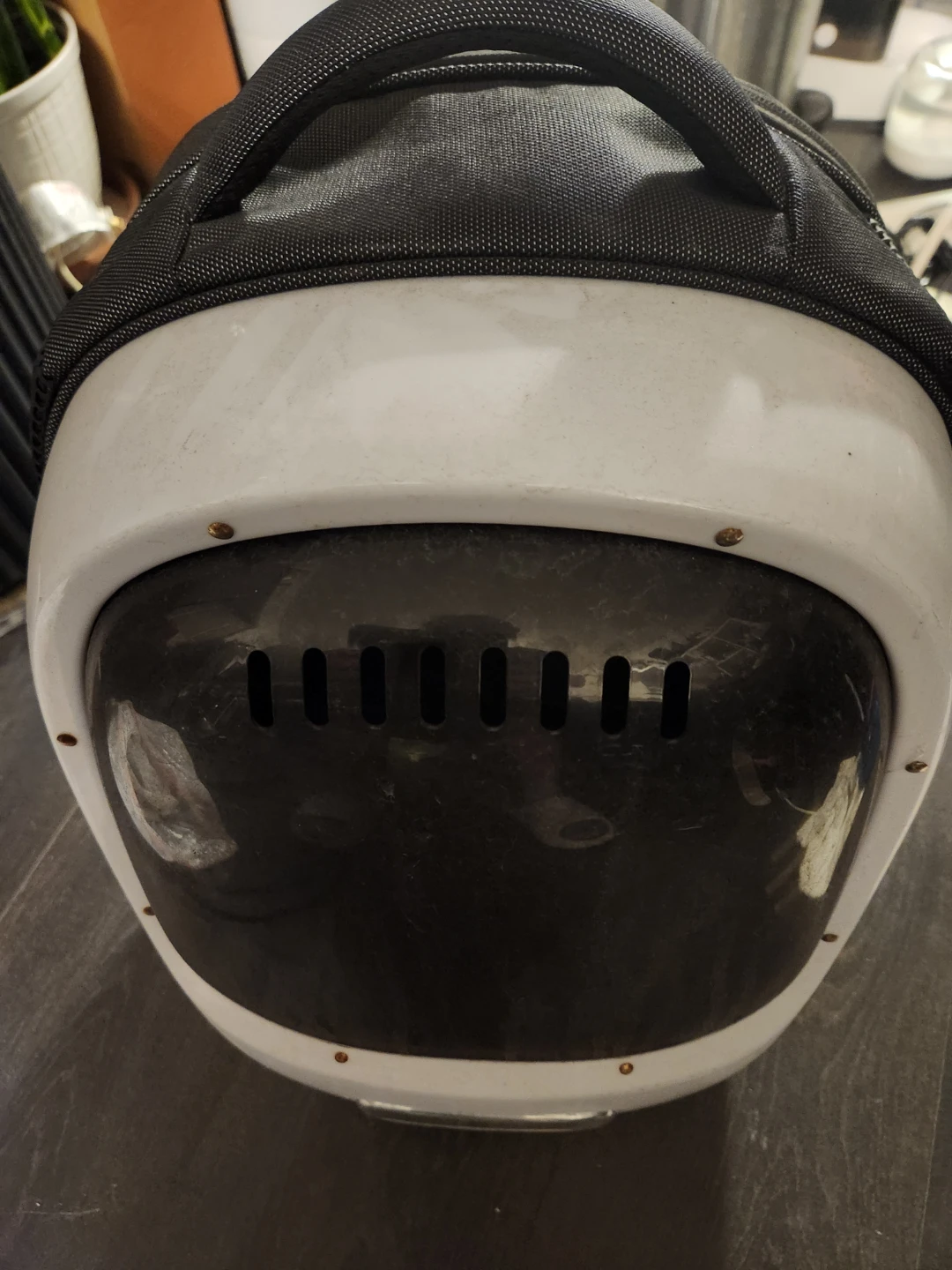 Pet Carrier Backpack